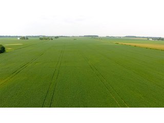 Property photo 18 - IMPORTANT OHIO LAND AUCTION - 325.5+/- ACRES OFFERED IN 8 TRACTS IN PICKAWAY COUNTY, OHIO